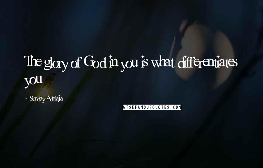 Sunday Adelaja Quotes: The glory of God in you is what differentiates you