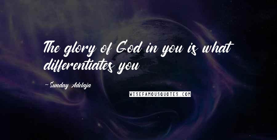 Sunday Adelaja Quotes: The glory of God in you is what differentiates you