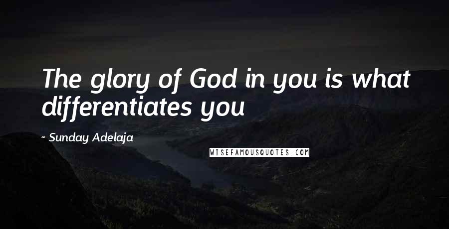 Sunday Adelaja Quotes: The glory of God in you is what differentiates you