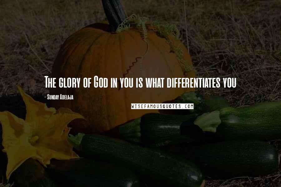 Sunday Adelaja Quotes: The glory of God in you is what differentiates you