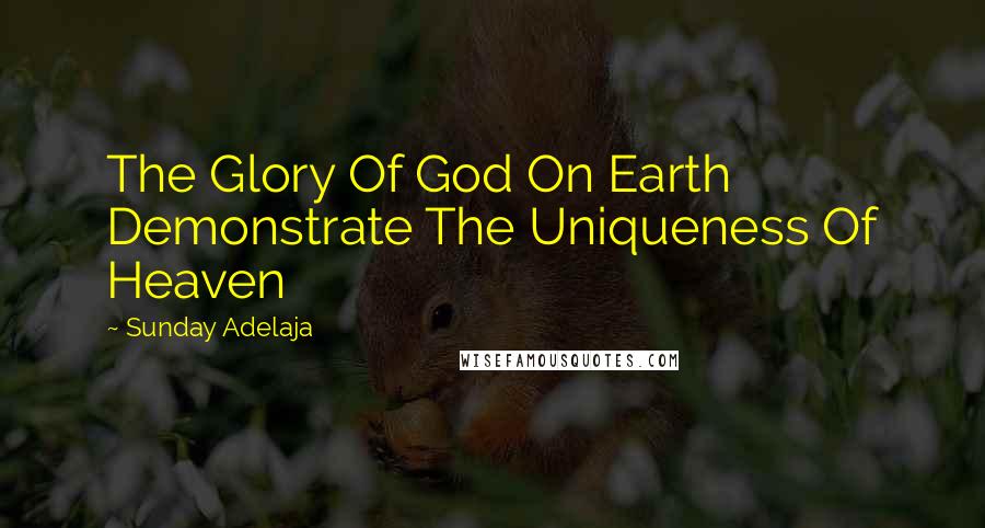 Sunday Adelaja Quotes: The Glory Of God On Earth Demonstrate The Uniqueness Of Heaven