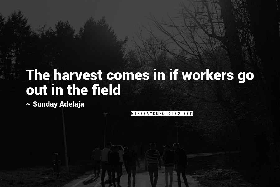 Sunday Adelaja Quotes: The harvest comes in if workers go out in the field