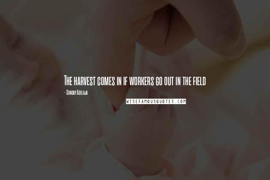 Sunday Adelaja Quotes: The harvest comes in if workers go out in the field