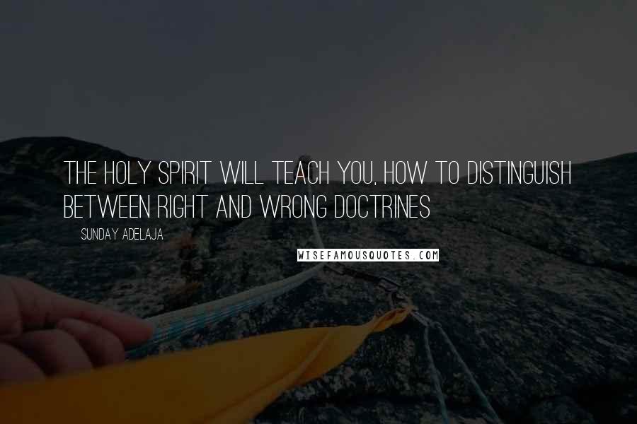 Sunday Adelaja Quotes: The Holy Spirit will teach you, how to distinguish between right and wrong doctrines