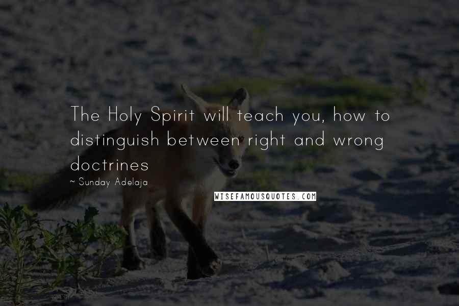 Sunday Adelaja Quotes: The Holy Spirit will teach you, how to distinguish between right and wrong doctrines