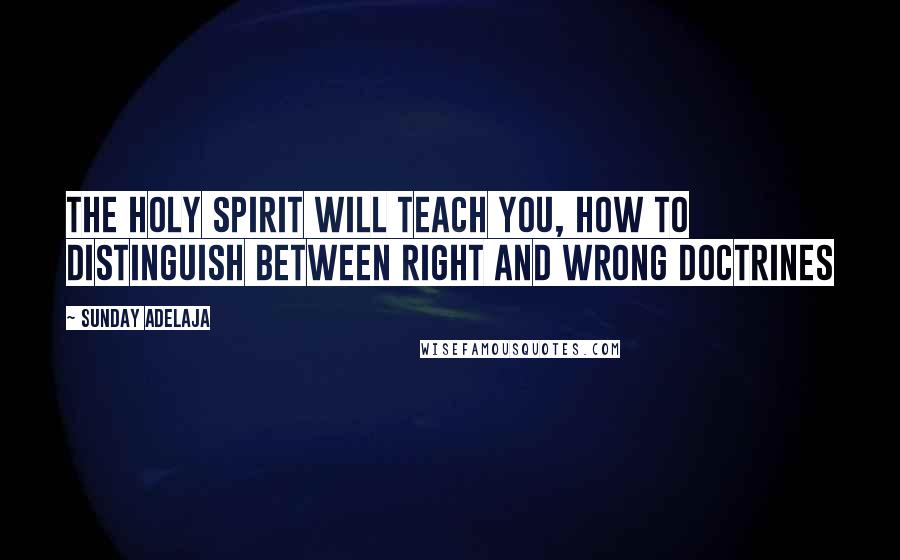 Sunday Adelaja Quotes: The Holy Spirit will teach you, how to distinguish between right and wrong doctrines