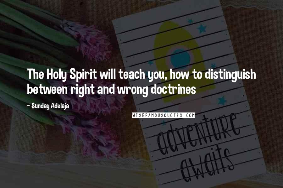 Sunday Adelaja Quotes: The Holy Spirit will teach you, how to distinguish between right and wrong doctrines
