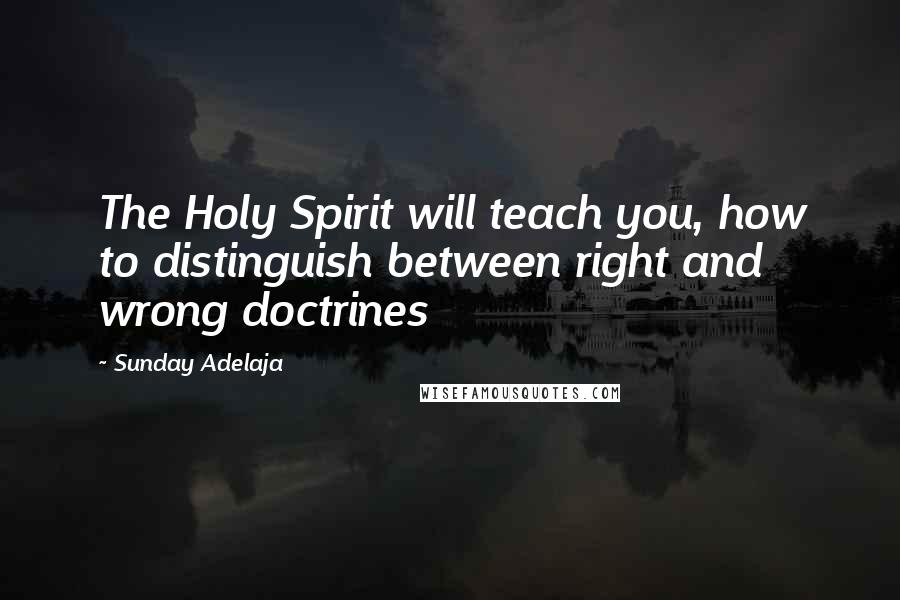 Sunday Adelaja Quotes: The Holy Spirit will teach you, how to distinguish between right and wrong doctrines