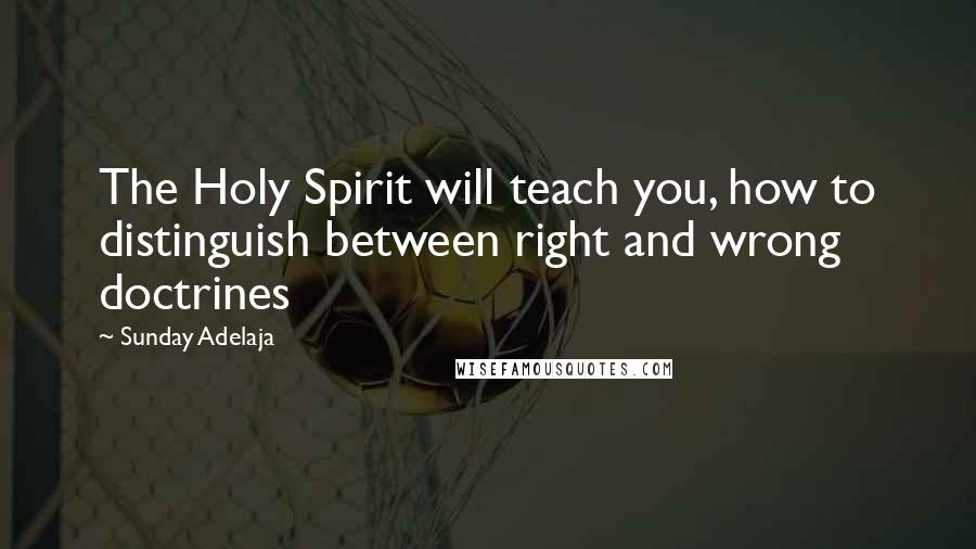 Sunday Adelaja Quotes: The Holy Spirit will teach you, how to distinguish between right and wrong doctrines