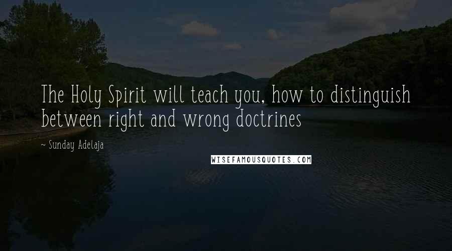 Sunday Adelaja Quotes: The Holy Spirit will teach you, how to distinguish between right and wrong doctrines