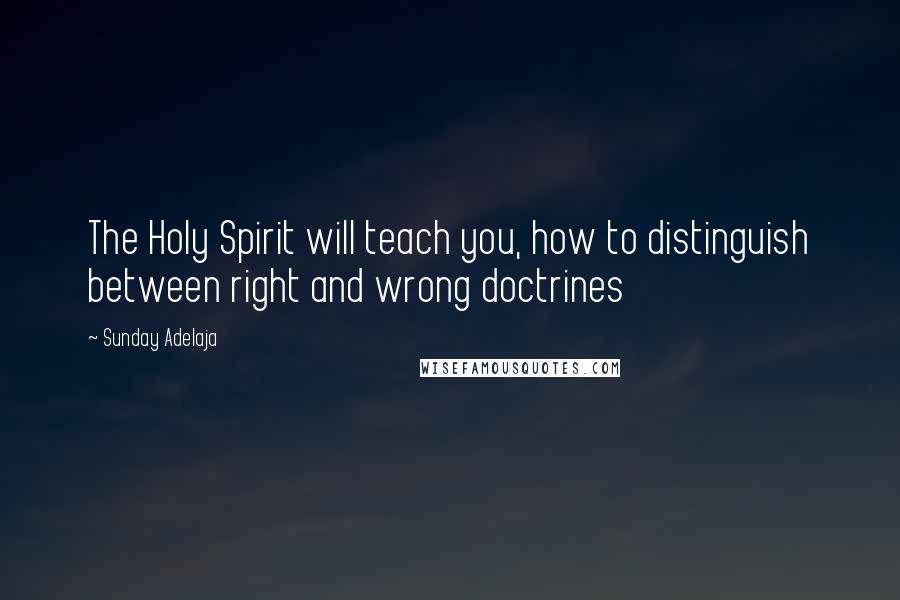 Sunday Adelaja Quotes: The Holy Spirit will teach you, how to distinguish between right and wrong doctrines