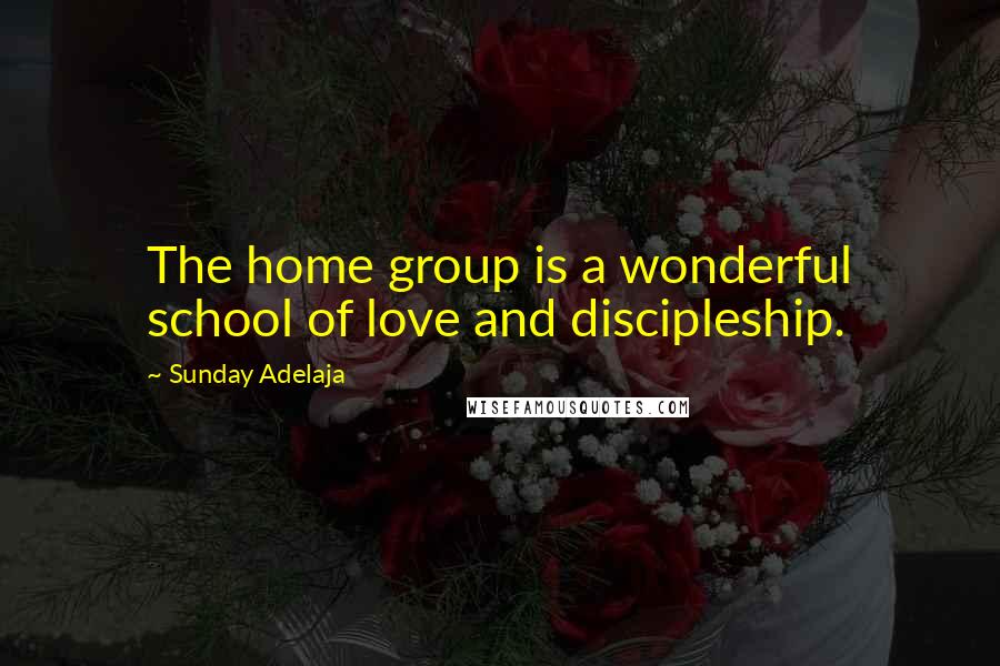Sunday Adelaja Quotes: The home group is a wonderful school of love and discipleship.