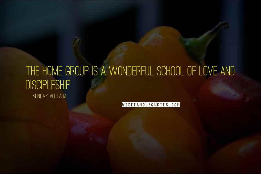Sunday Adelaja Quotes: The home group is a wonderful school of love and discipleship.