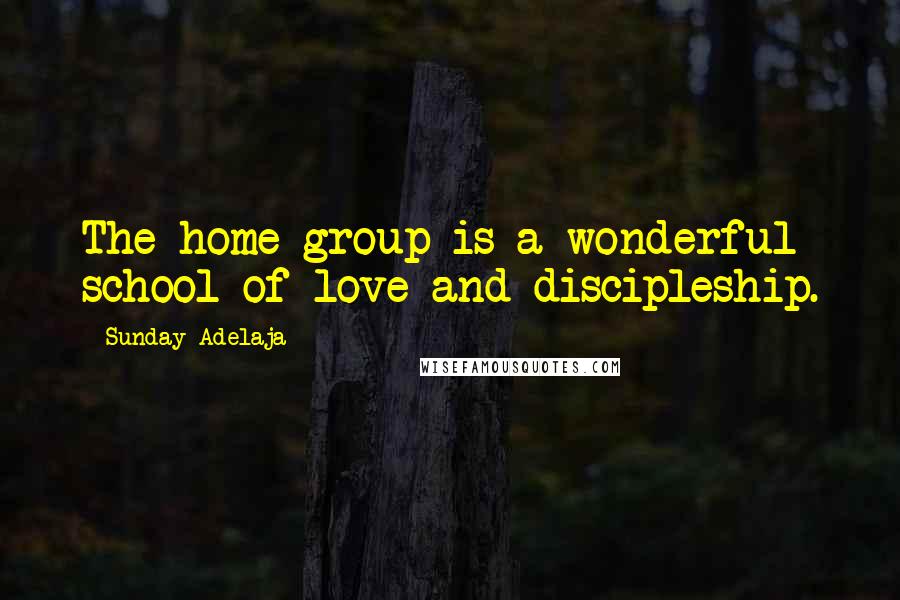 Sunday Adelaja Quotes: The home group is a wonderful school of love and discipleship.