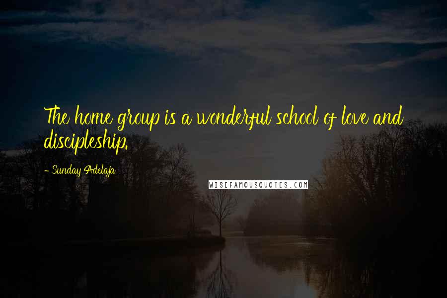 Sunday Adelaja Quotes: The home group is a wonderful school of love and discipleship.