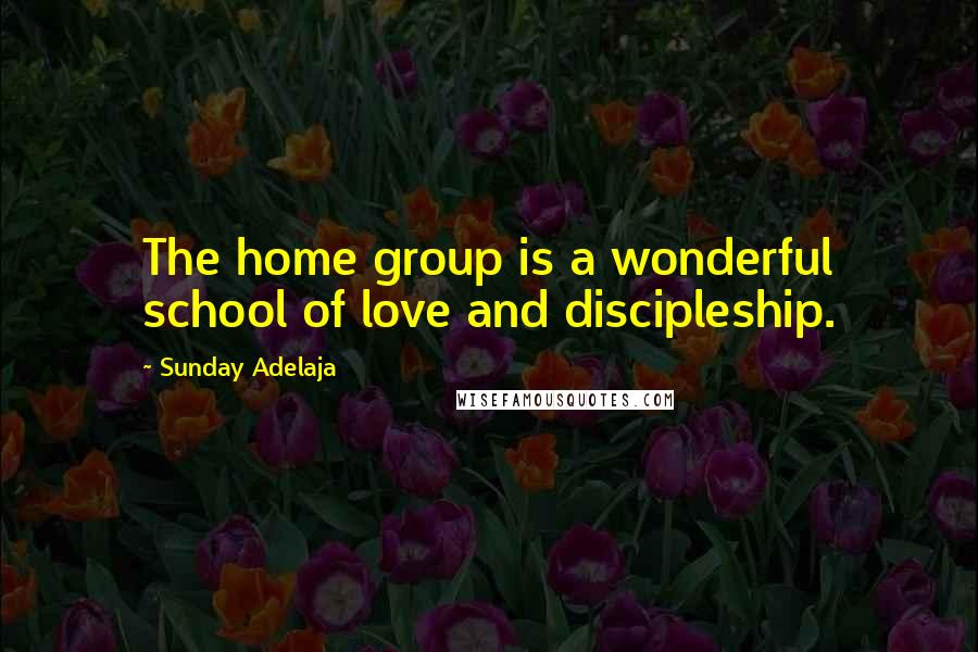 Sunday Adelaja Quotes: The home group is a wonderful school of love and discipleship.