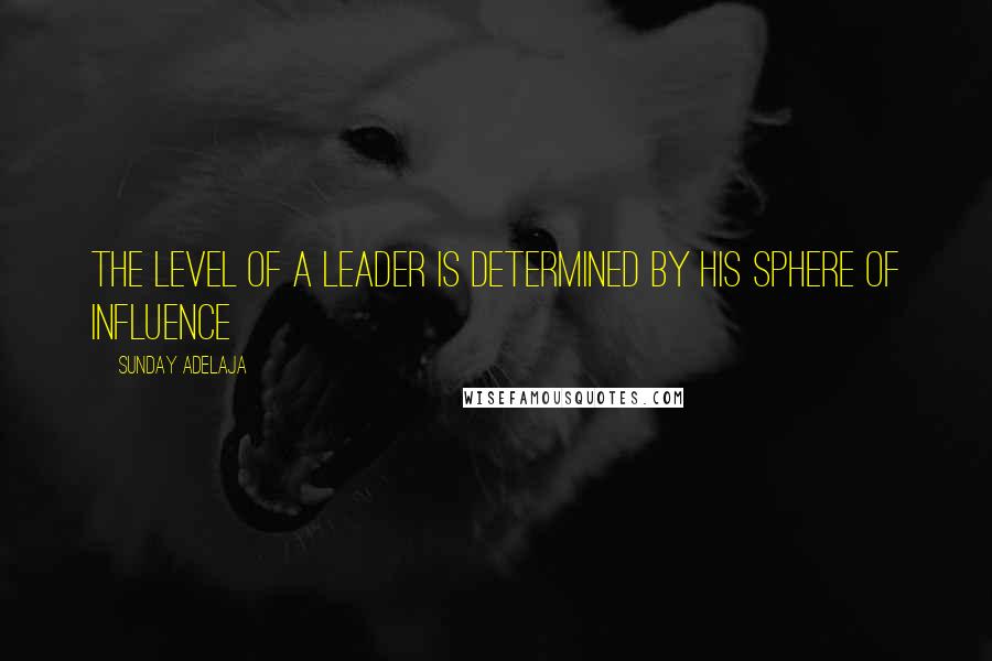 Sunday Adelaja Quotes: The level of a leader is determined by his sphere of influence