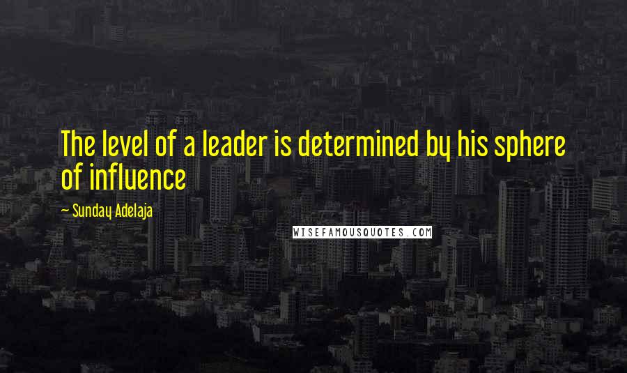 Sunday Adelaja Quotes: The level of a leader is determined by his sphere of influence