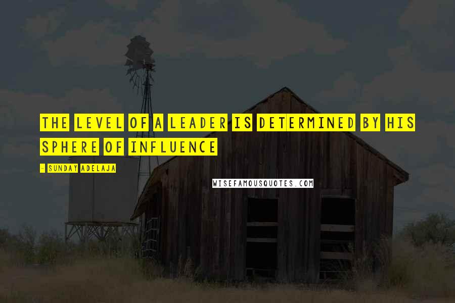 Sunday Adelaja Quotes: The level of a leader is determined by his sphere of influence