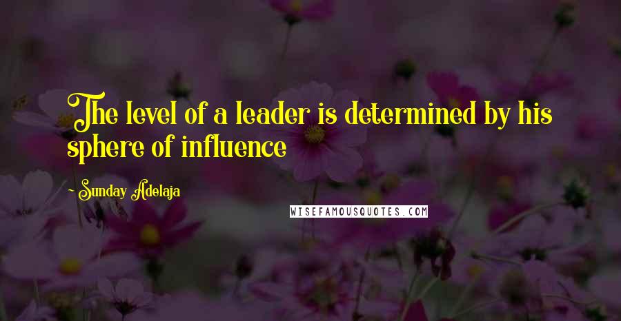 Sunday Adelaja Quotes: The level of a leader is determined by his sphere of influence