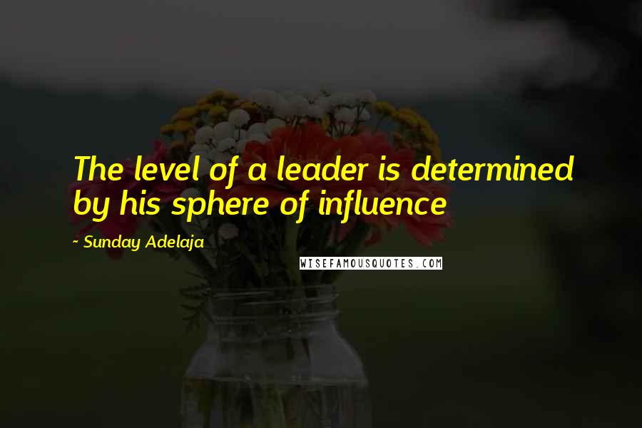 Sunday Adelaja Quotes: The level of a leader is determined by his sphere of influence