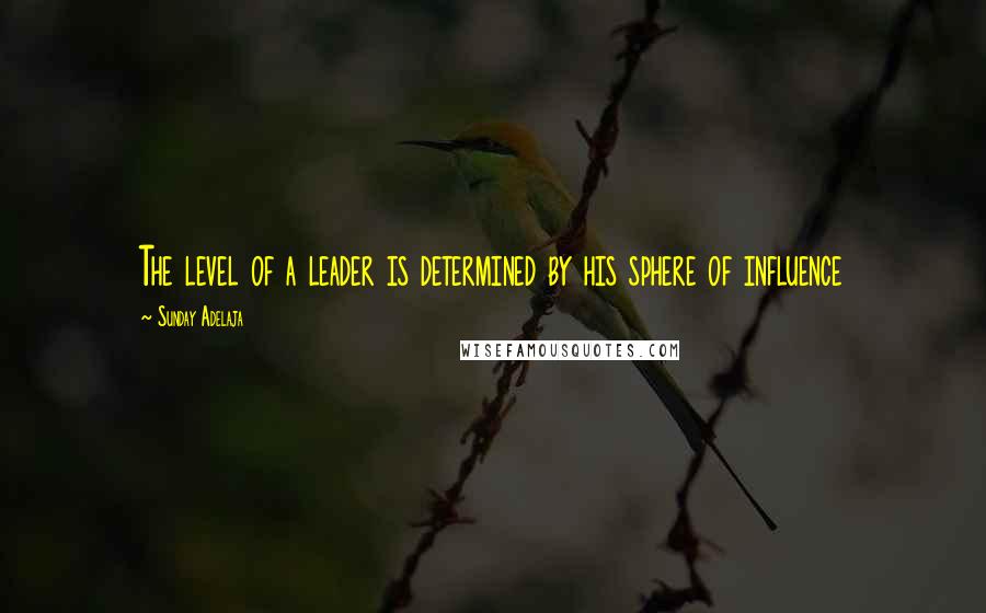 Sunday Adelaja Quotes: The level of a leader is determined by his sphere of influence