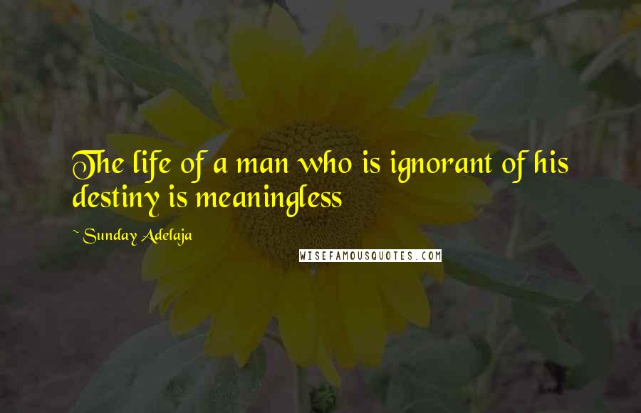 Sunday Adelaja Quotes: The life of a man who is ignorant of his destiny is meaningless