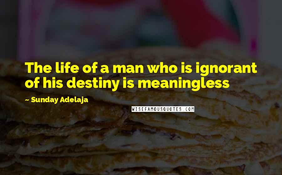 Sunday Adelaja Quotes: The life of a man who is ignorant of his destiny is meaningless