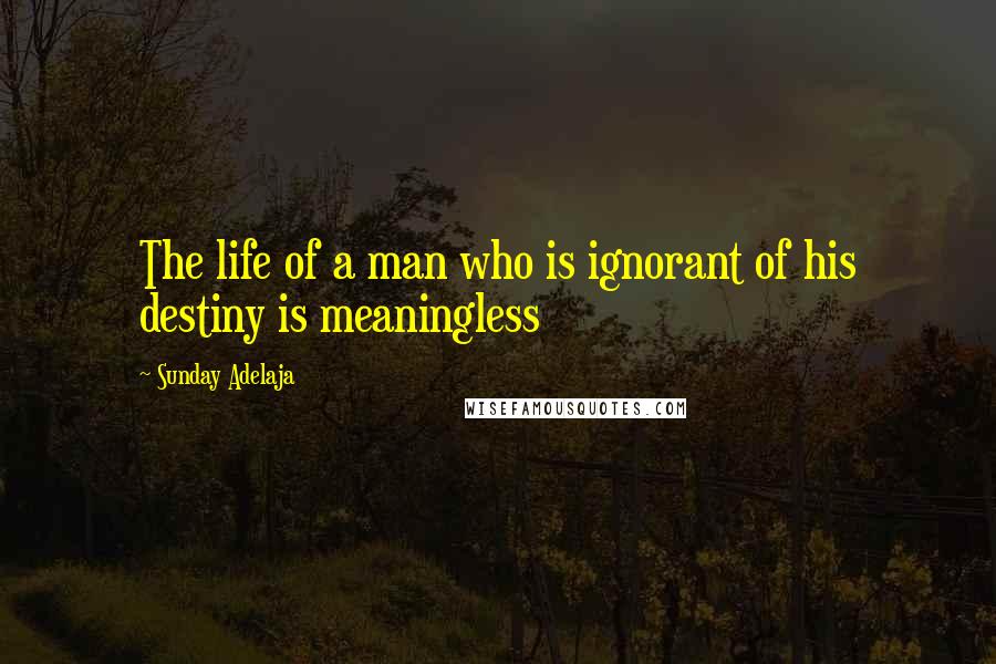 Sunday Adelaja Quotes: The life of a man who is ignorant of his destiny is meaningless