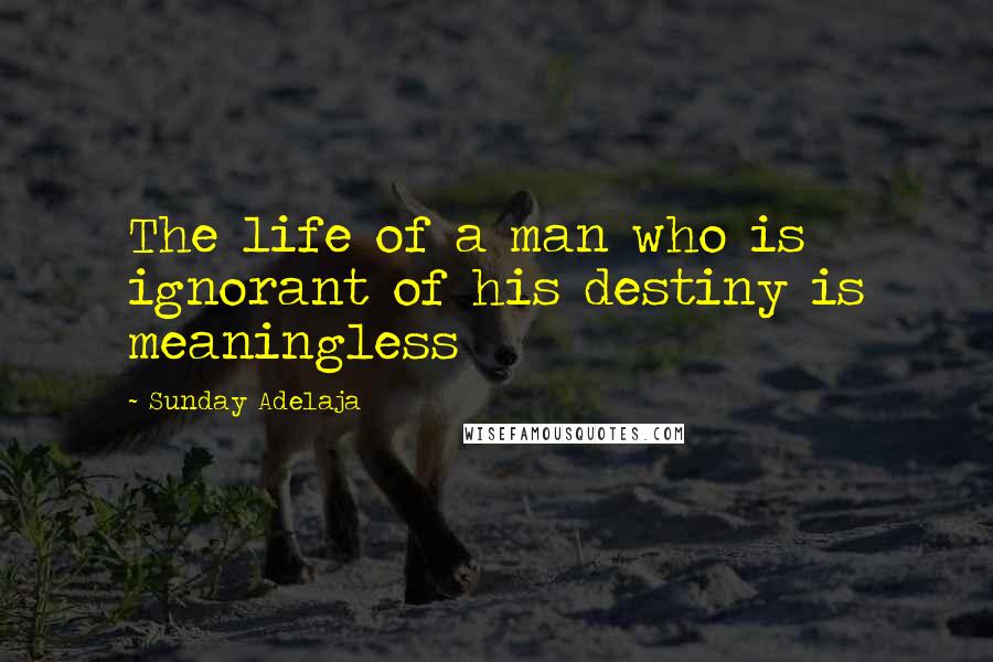 Sunday Adelaja Quotes: The life of a man who is ignorant of his destiny is meaningless