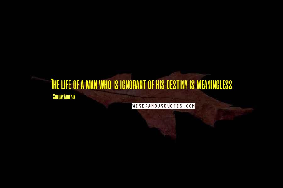 Sunday Adelaja Quotes: The life of a man who is ignorant of his destiny is meaningless