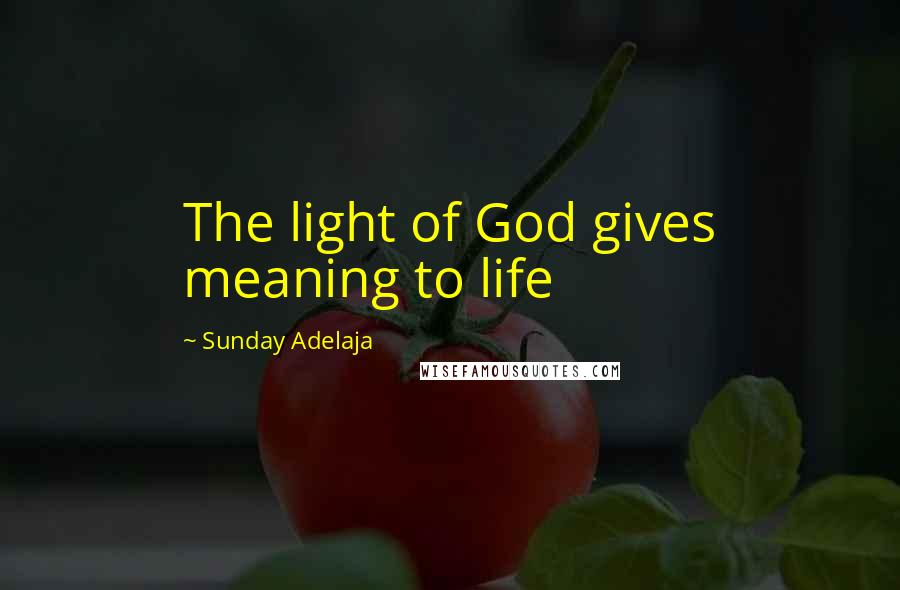 Sunday Adelaja Quotes: The light of God gives meaning to life