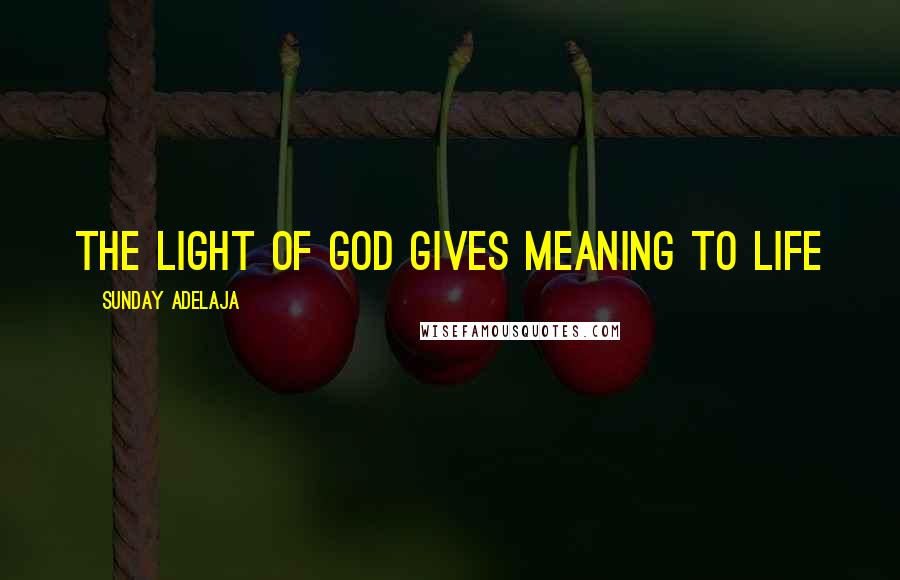 Sunday Adelaja Quotes: The light of God gives meaning to life
