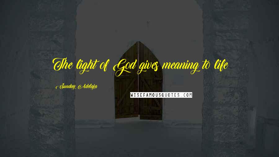 Sunday Adelaja Quotes: The light of God gives meaning to life