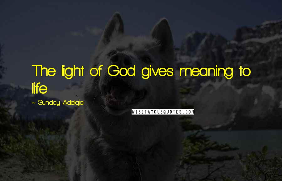 Sunday Adelaja Quotes: The light of God gives meaning to life