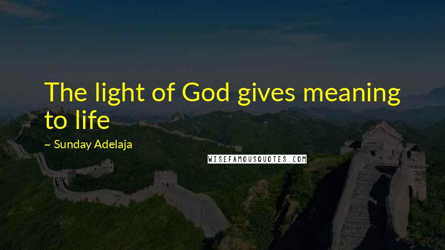 Sunday Adelaja Quotes: The light of God gives meaning to life