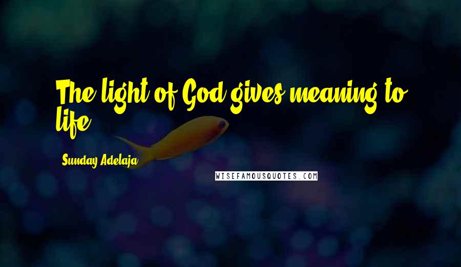 Sunday Adelaja Quotes: The light of God gives meaning to life