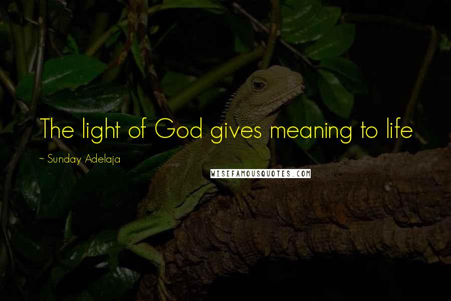 Sunday Adelaja Quotes: The light of God gives meaning to life