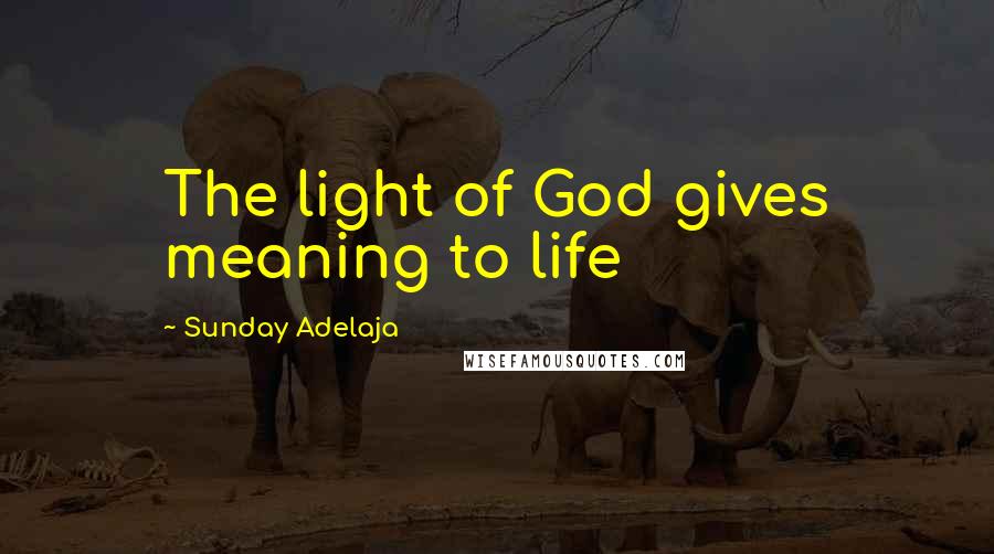 Sunday Adelaja Quotes: The light of God gives meaning to life