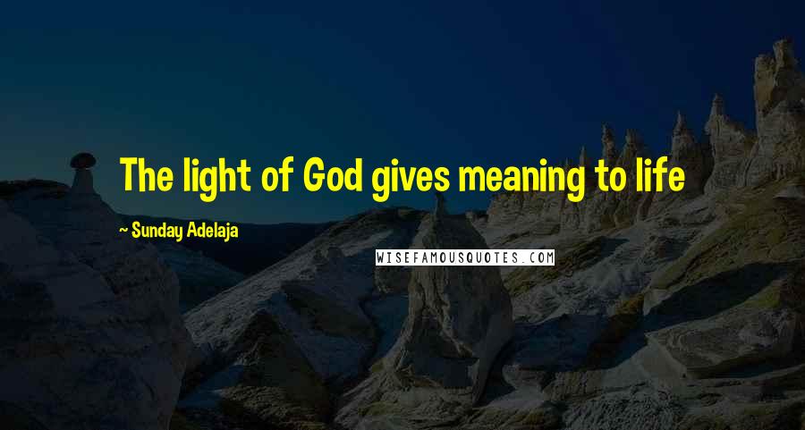 Sunday Adelaja Quotes: The light of God gives meaning to life
