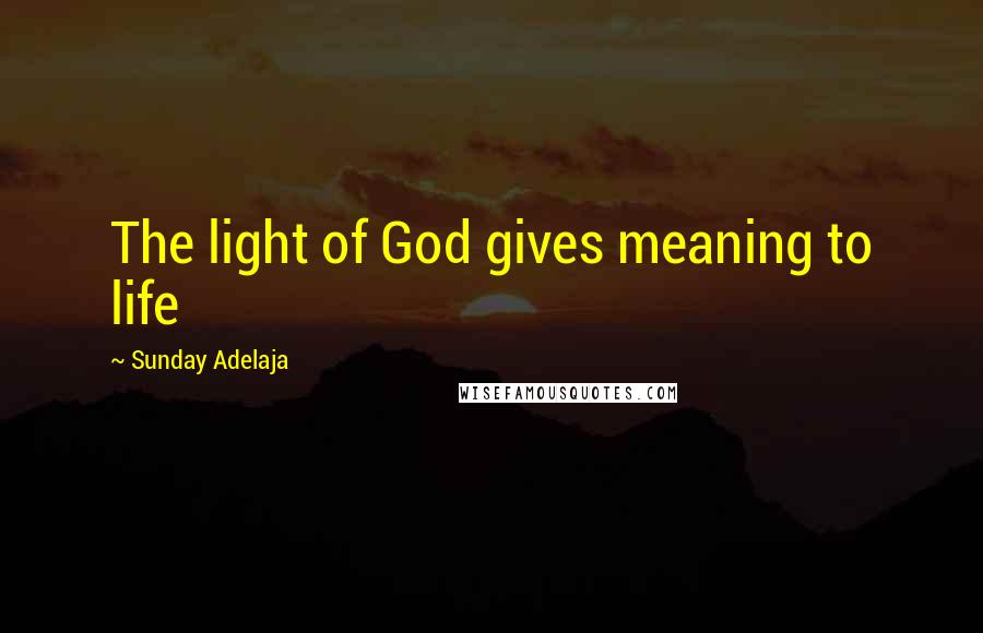 Sunday Adelaja Quotes: The light of God gives meaning to life