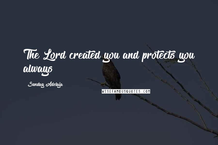 Sunday Adelaja Quotes: The Lord created you and protects you always