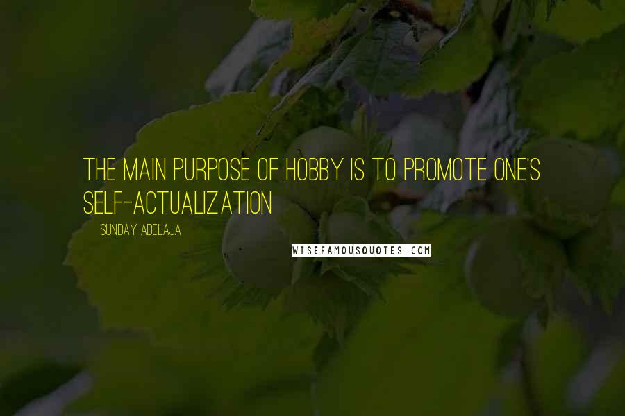 Sunday Adelaja Quotes: The main purpose of hobby is to promote one's self-actualization