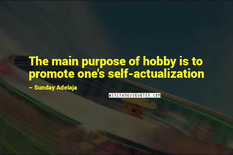 Sunday Adelaja Quotes: The main purpose of hobby is to promote one's self-actualization