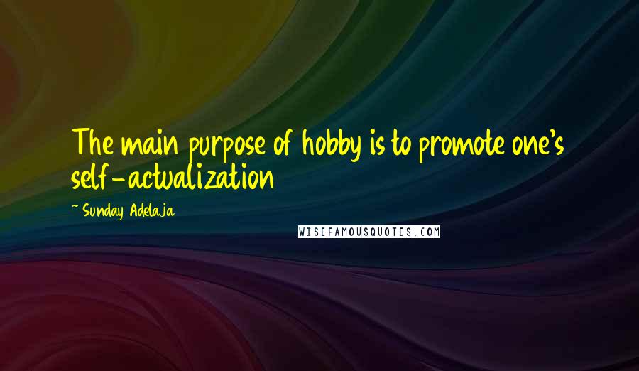 Sunday Adelaja Quotes: The main purpose of hobby is to promote one's self-actualization