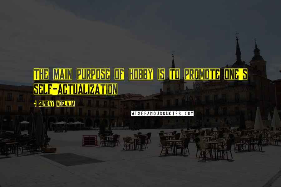 Sunday Adelaja Quotes: The main purpose of hobby is to promote one's self-actualization