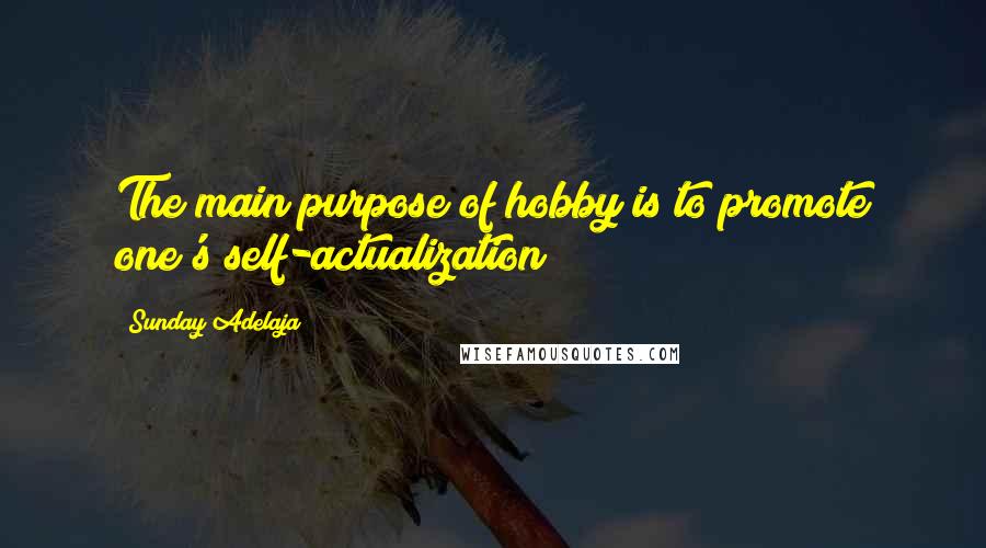 Sunday Adelaja Quotes: The main purpose of hobby is to promote one's self-actualization