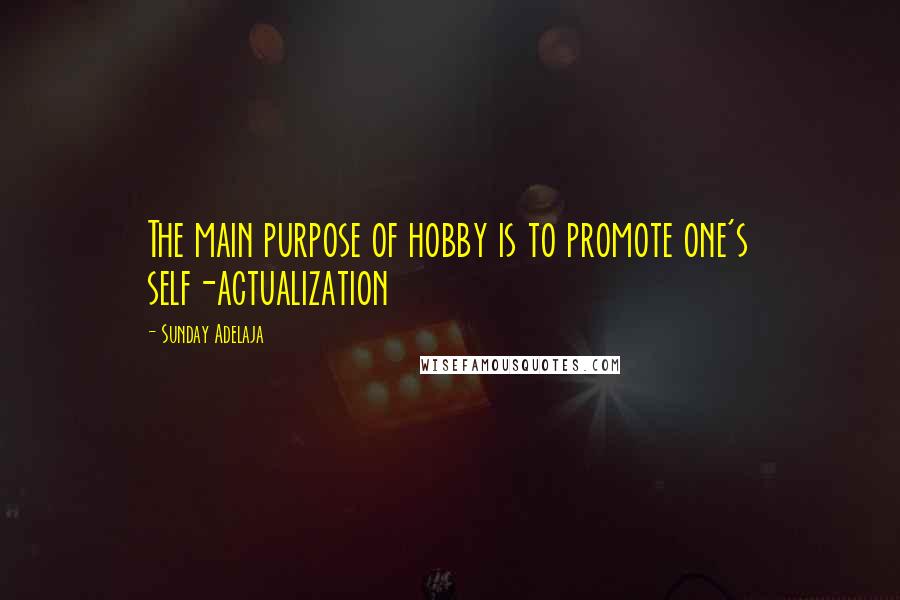 Sunday Adelaja Quotes: The main purpose of hobby is to promote one's self-actualization