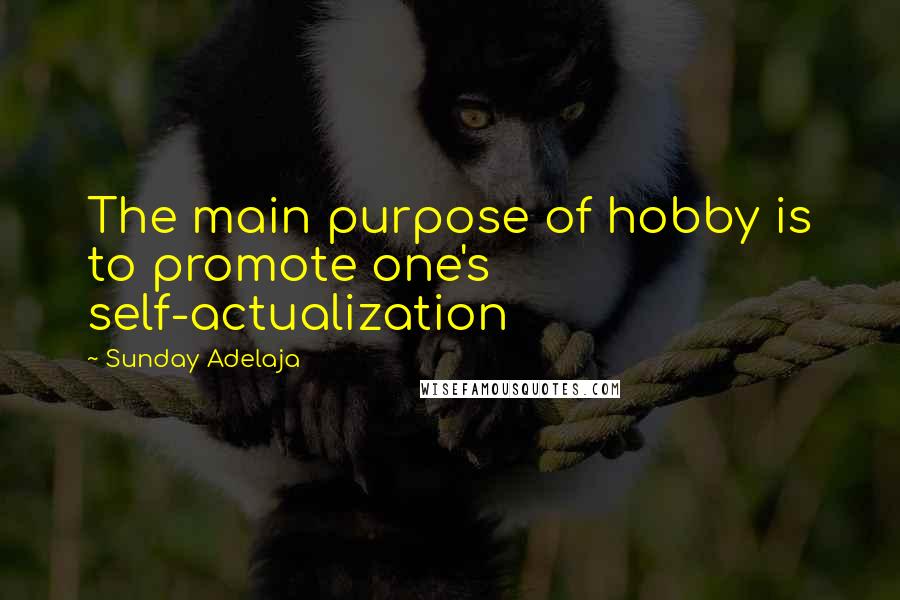 Sunday Adelaja Quotes: The main purpose of hobby is to promote one's self-actualization