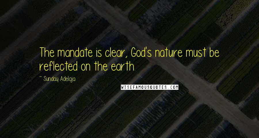 Sunday Adelaja Quotes: The mandate is clear, God's nature must be reflected on the earth